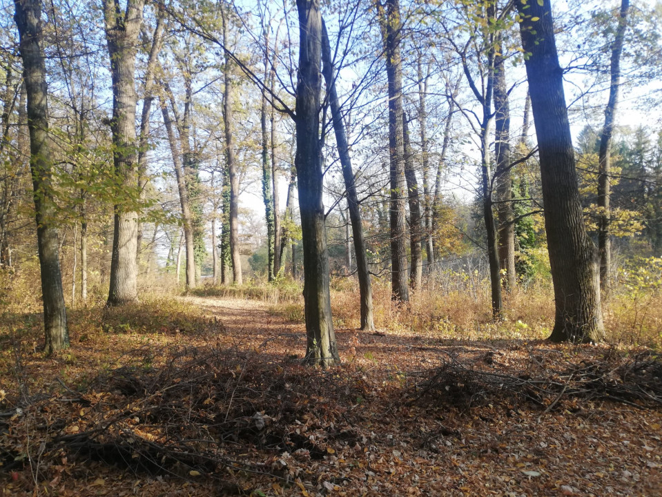 SUPER  OCAZIE TEREN DE VANZARE IN SNAGOV CU DESCHIDERE LA LACUL SNAGOV