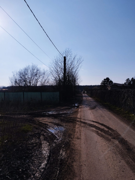 TEREN DE VANZARE IN ZONA SNAGOV LANGA LAC, VIS A VIS DE PROPRIETATEA M. ISARESCU