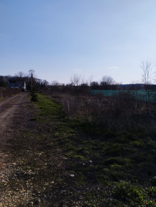 TEREN DE VANZARE IN ZONA SNAGOV LANGA LAC, VIS A VIS DE PROPRIETATEA M. ISARESCU