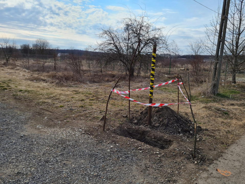 TEREN DE VANZARE IN ZONA SNAGOV LANGA LAC, VIS A VIS DE PROPRIETATEA M. ISARESCU