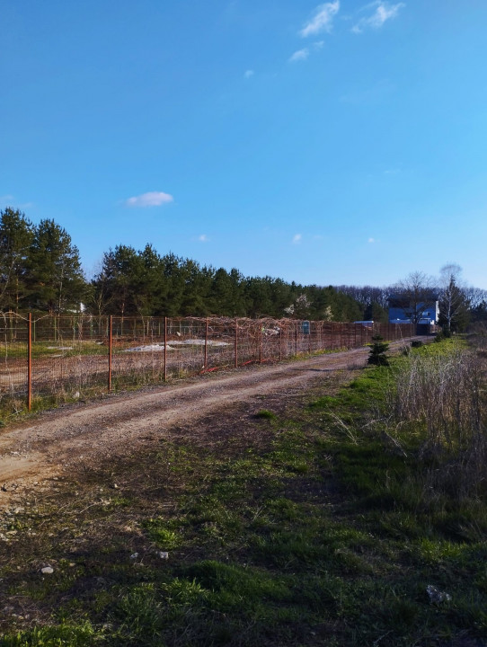 TEREN DE VANZARE IN ZONA SNAGOV LANGA LAC, VIS A VIS DE PROPRIETATEA M. ISARESCU