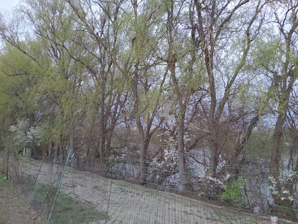 SUPER OCAZIE SE VINDE TEREN IN ZONA STARULESTI LANGA UN CARTIER DE VILE 