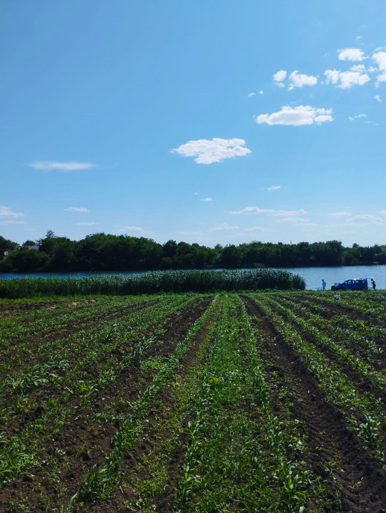 MEGA OCAZIE SE VINDE TEREN 10.600 DE METRI LA PRET DE 6.600 CU DESCHIDRE LA LAC