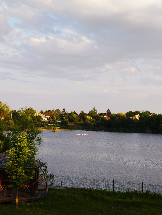 SUPER OCAZIE SE VINDE VILA DE LUX SI CASA DE OASPESTI IN BALOTESTI LA LAC