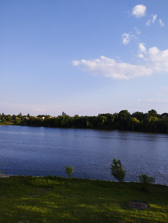 SUPER OCAZIE SE VINDE VILA DE LUX SI CASA DE OASPESTI IN BALOTESTI LA LAC