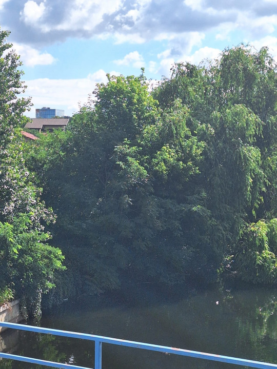 MEGA OCAZIE SE VINDE TEREN CU DESCHIDERE LA LACUL FUNDENI