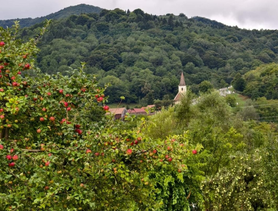 Vila cu poveste Fantanele, Sibiu