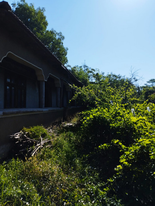 DE VANZARE CASA DEMOLABILA/RENOVABILA + TEREN 1900m SAT BUDENI