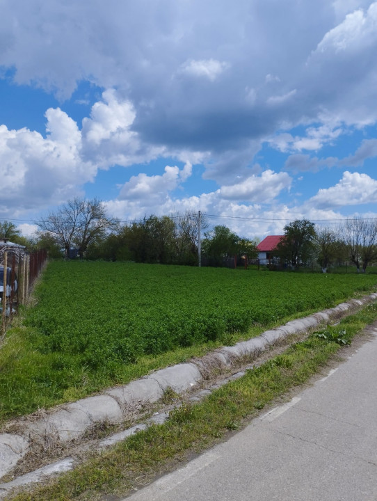 SUPER OCAZIE SE VINDE TEREN LA CEL MAI MIC PRET LA DELTA NEAJLOVULUI BUDENI GR