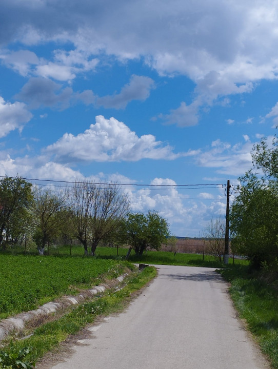 SUPER OCAZIE SE VINDE TEREN LA CEL MAI MIC PRET LA DELTA NEAJLOVULUI BUDENI GR