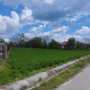 SUPER OCAZIE SE VINDE TEREN LA CEL MAI MIC PRET LA DELTA NEAJLOVULUI BUDENI GR