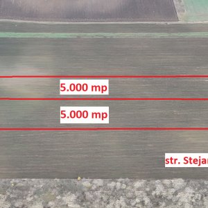 Teren 10.000 mp Sabareni