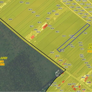 FRUMUSANI-ORASTI, LOT 7630 MP!