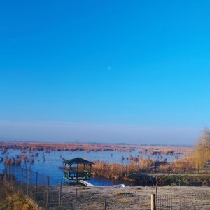 VAND TEREN INTRAVILAN 4000MP DESCHIDERE LA DELTA NEAJLOVULUI  IN ZONA BUDENI