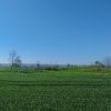 VAND TEREN INTRAVILAN 4000MP DESCHIDERE LA DELTA NEAJLOVULUI  IN ZONA BUDENI