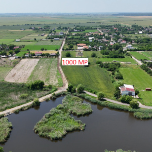 DASCALU-CREATA Lot 1000 MP