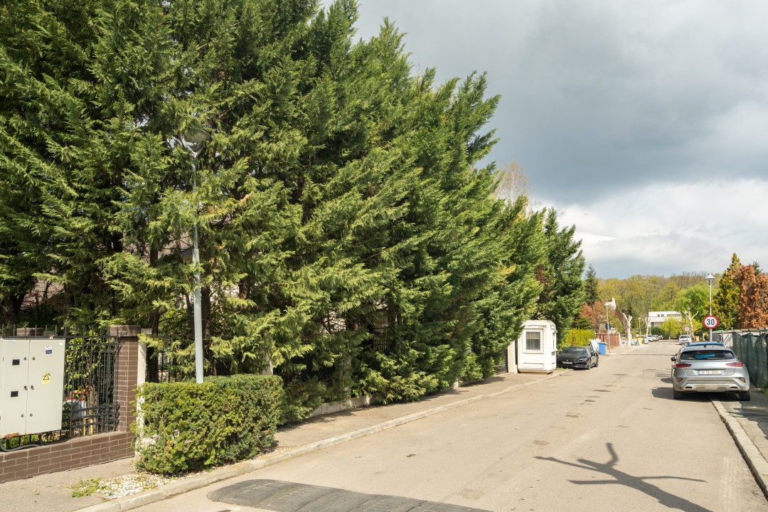 IANCU NICOLAE - COMPLEX TRAIAN, VILA PREMIUM 300 MPU, LOT 750 MP!