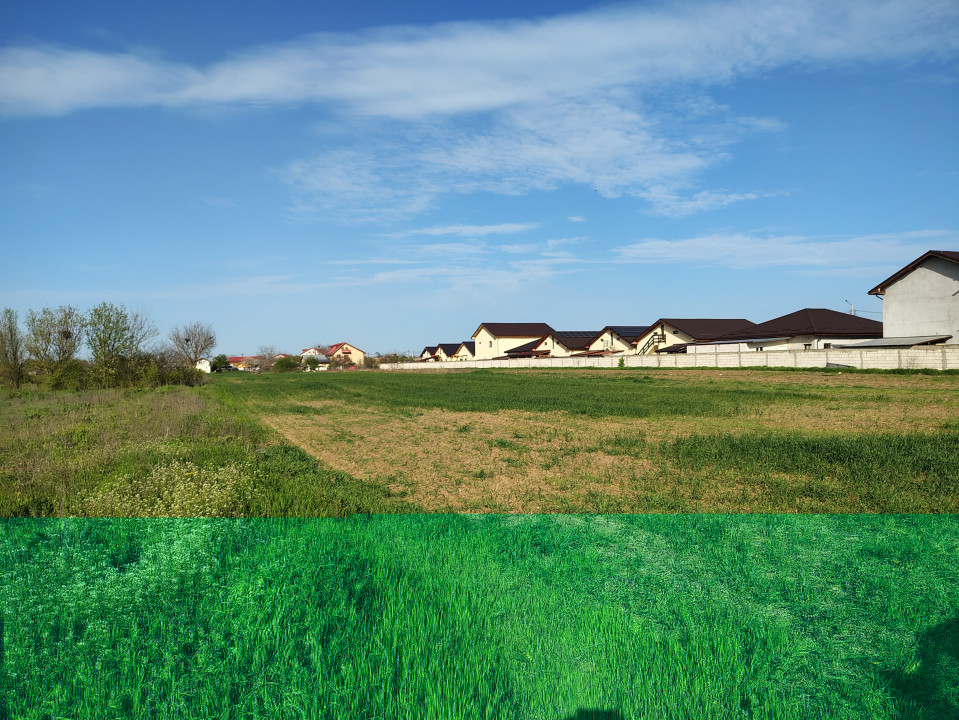 Teren investitie Cernica, Posta