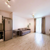 Studio de inchiriat in Greenfield – liniste si aer curat