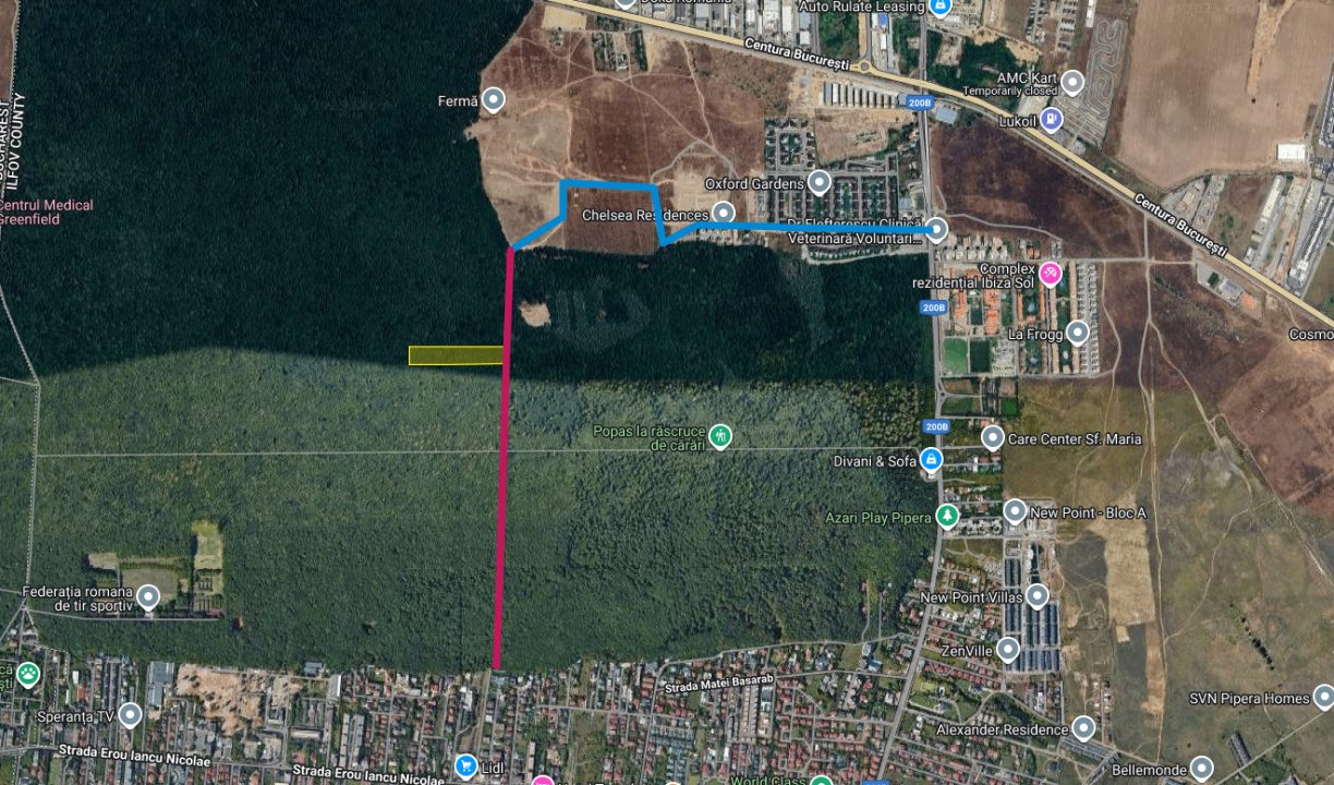 Raritate absolută: Teren 20.000 mp în inima Padurii Băneasa