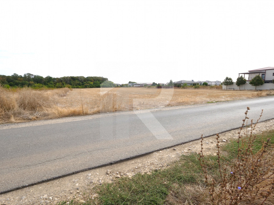 LOTURI PENTRU CASA - 420mp + 89mp drum - Otopeni, Ilfov - IN CURS DE AUTORIZARE 