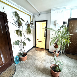 de inchiriat apartament 2 camere, Nord, Judetean, Cameliei