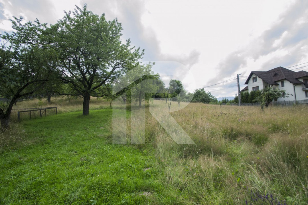 Teren investitie Bran - Predelut, la 2 km de Castelul Bran