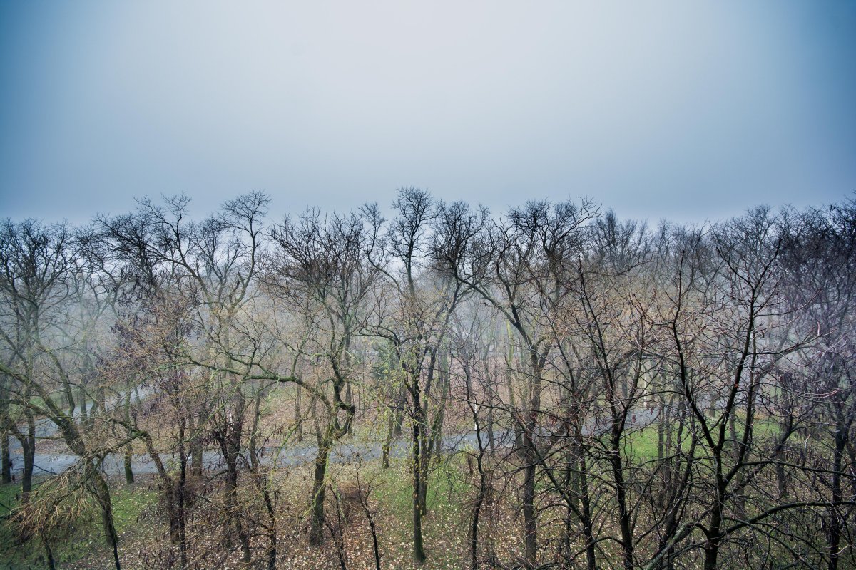 Bucurestii Noi, 1 minut metrou Bazilescu, vedere superba spre parc, LUX