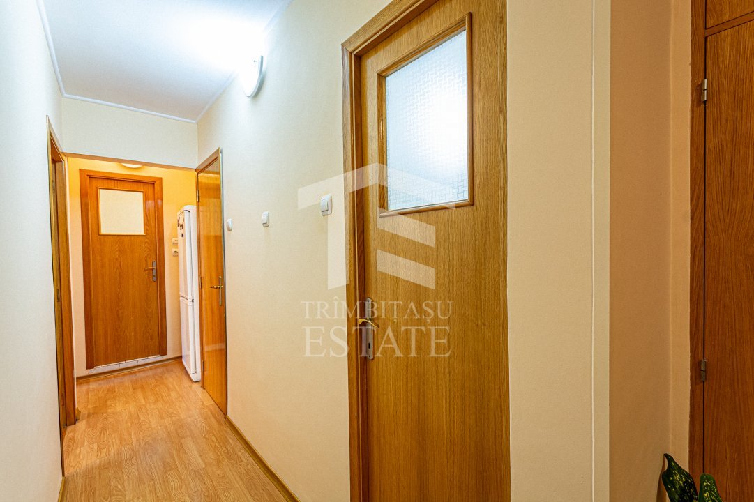 Teiul Doamnei, apartament cu trei camere, comision 0 pentru cumparator! 