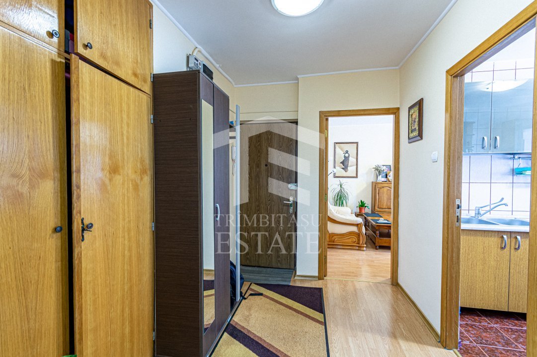 Teiul Doamnei, apartament cu trei camere, comision 0 pentru cumparator! 