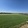 OVIDIU-POIANA- Vila tip duplex cu terasa circulabila.