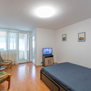 Berceni - Nitu Vasile, garsoniera renovata, pet friendly, comision 0%
