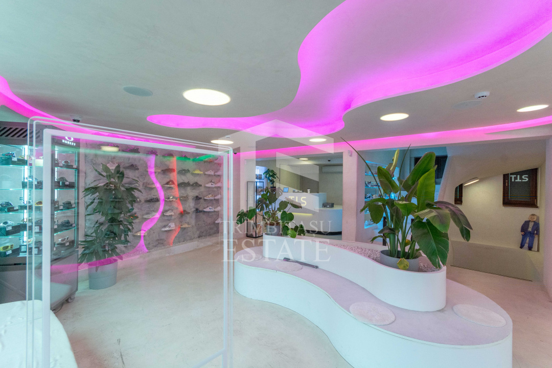 Spatiu Comercial | Showroom | Birou reprezentativ I C Bratianu | Universitate