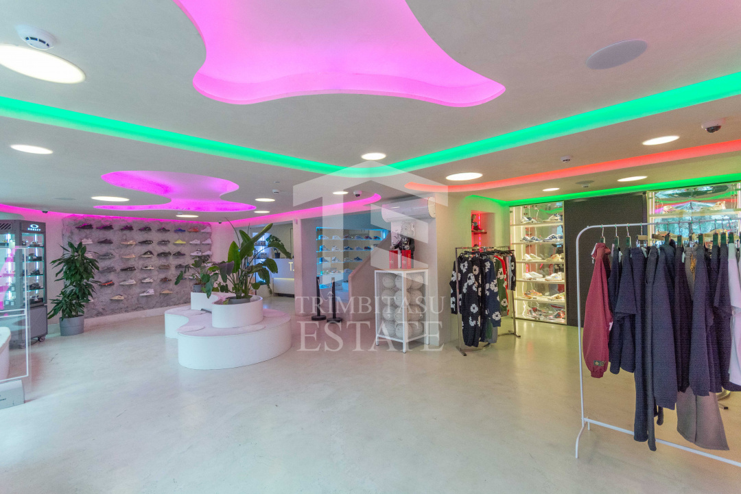 Spatiu Comercial | Showroom | Birou reprezentativ I C Bratianu | Universitate