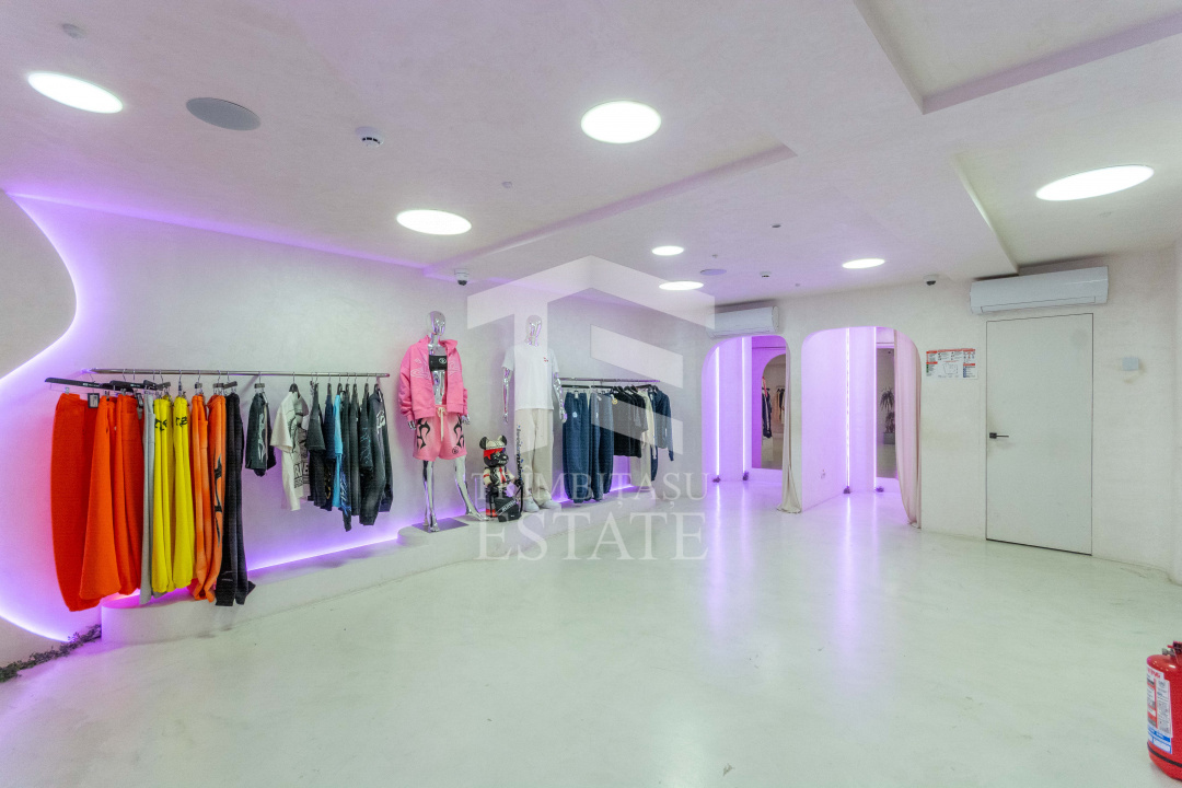 Spatiu Comercial | Showroom | Birou reprezentativ I C Bratianu | Universitate