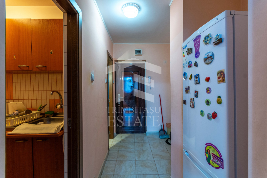 Costin Georgian Lucretiu Patrascanu, Garsoniera modesta, de inchiriat, Comision0