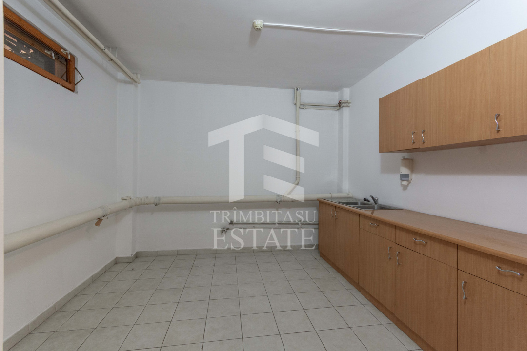 Aviatiei | Smaranda Braescu | Vila reprezentativa de inchiriat