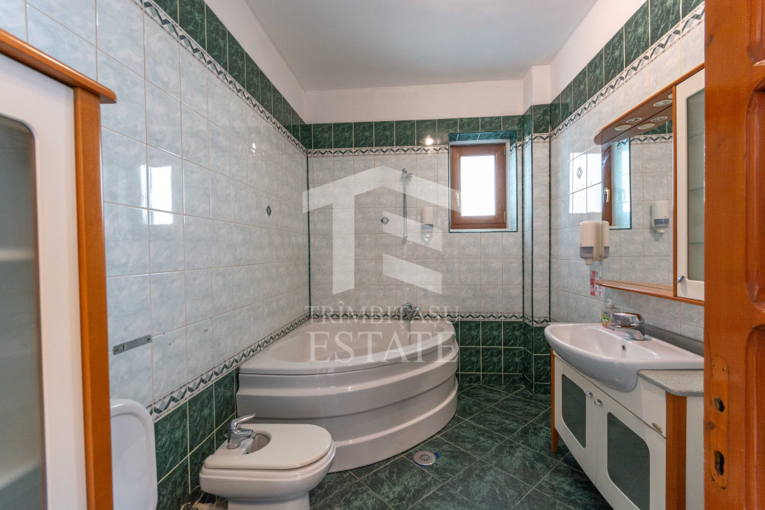 Aviatiei | Smaranda Braescu | Vila reprezentativa de inchiriat