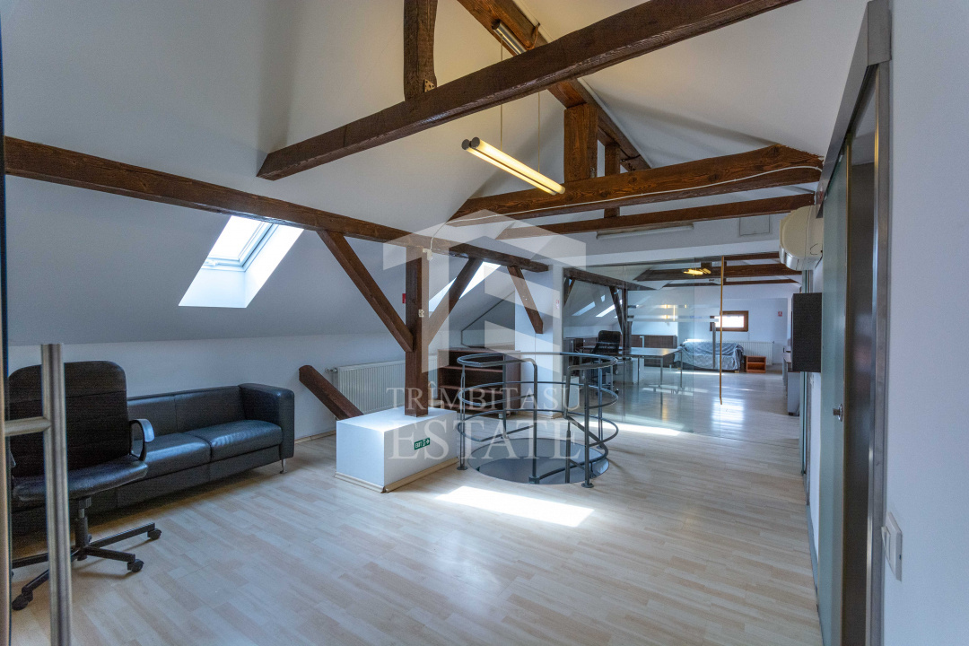 Aviatiei | Smaranda Braescu | Vila reprezentativa de inchiriat