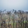 Bucurestii Noi, 1 minut metrou Bazilescu, vedere superba spre parc, LUX