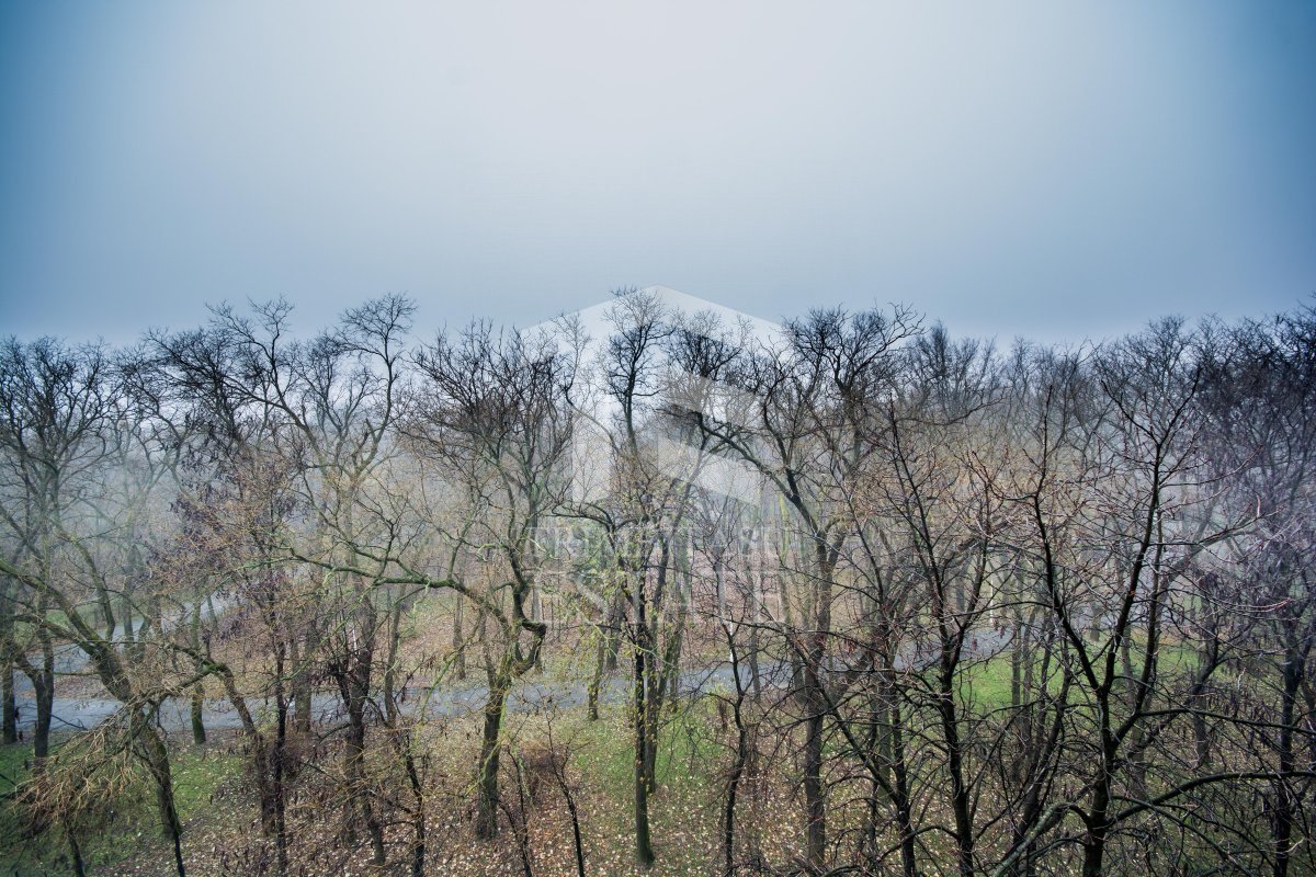 Bucurestii Noi, 1 minut metrou Bazilescu, vedere superba spre parc, LUX